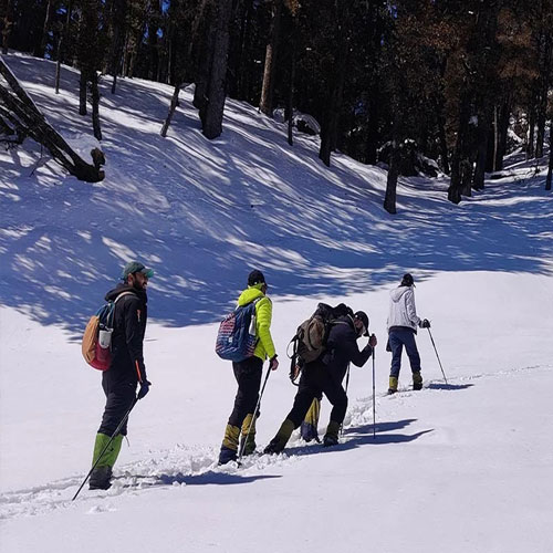 listing-details-carousel