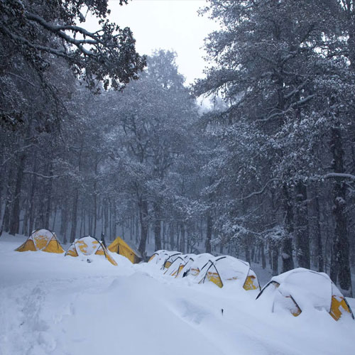 listing-details-carousel