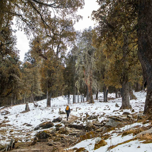 listing-details-carousel