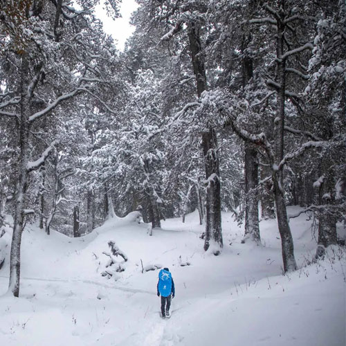 listing-details-carousel