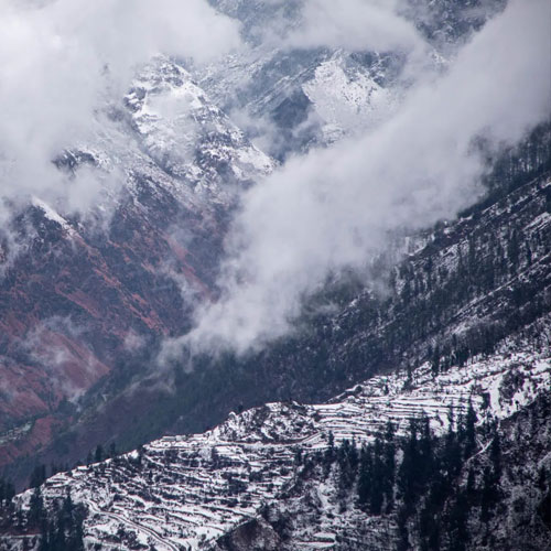 listing-details-carousel