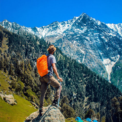 listing-details-carousel