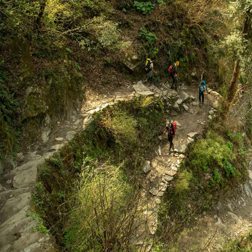 listing-details-carousel