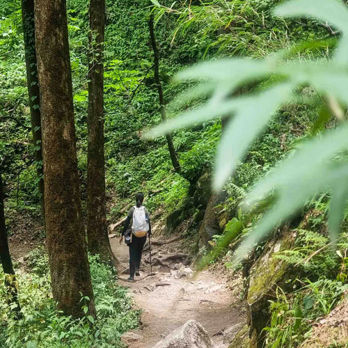 listing-details-carousel