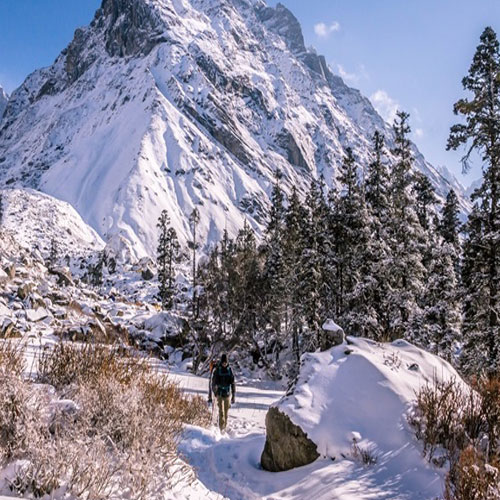 listing-details-carousel