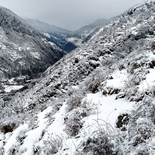 listing-details-carousel