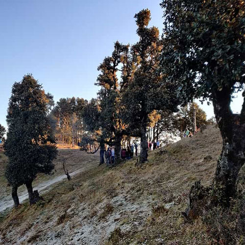 listing-details-carousel