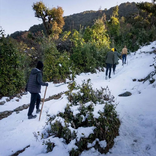 listing-details-carousel