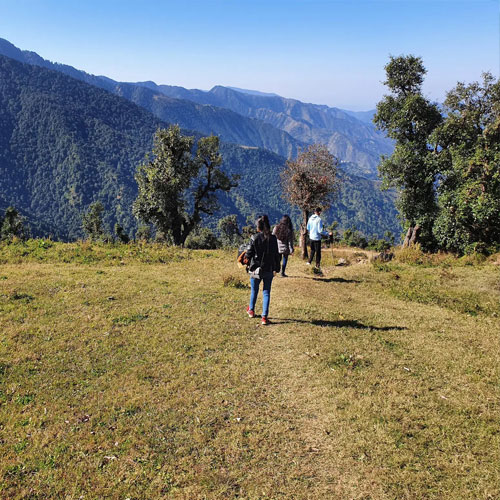 listing-details-carousel