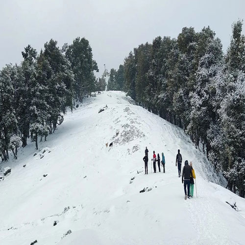 listing-details-carousel