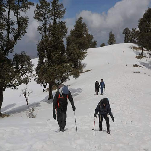 listing-details-carousel