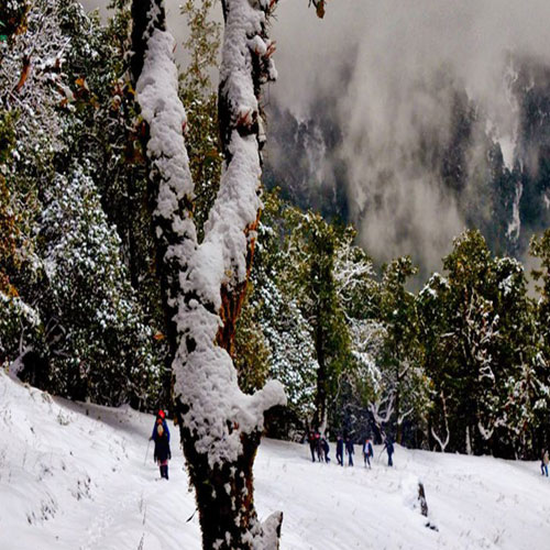 listing-details-carousel