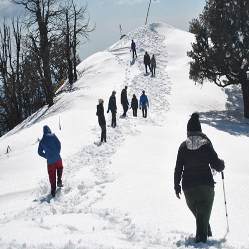 listing-details-carousel