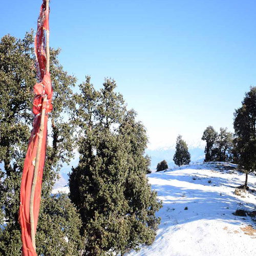 listing-details-carousel