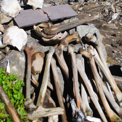 listing-details-carousel